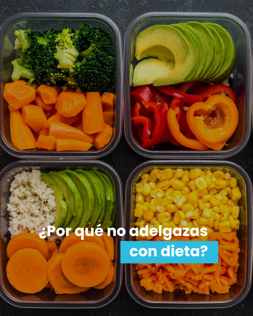 dieta adelgazar