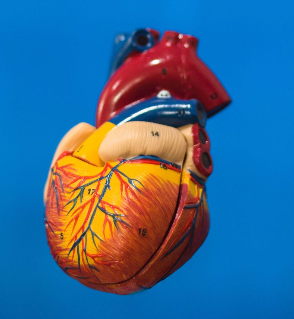 patología cardiovascular